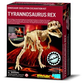 4M KidzLabs Montera ett Tyrannosaurus Rex-skelett
