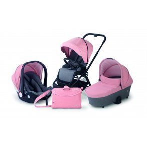 Asalvo Trio Genius, Rosa