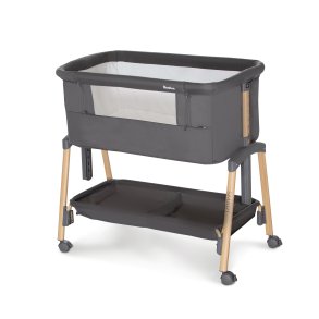 Asalvo Minisng Smart, Gr