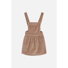 Hust and Claire Spencer, Dixie Shade rose