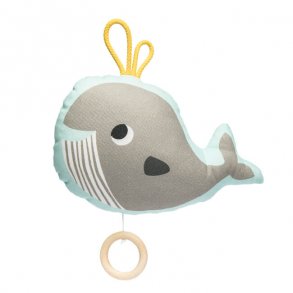 Julica speldosa, Val