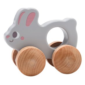 Kinder and Kids Greppleksak, Kanin