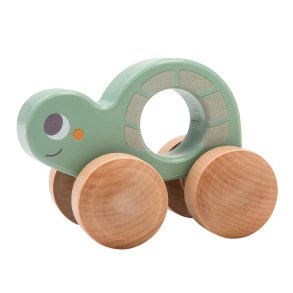 Kinder and Kids Greppleksak, Skldpadda