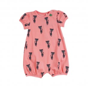 Freds World Beach Body m. Katte