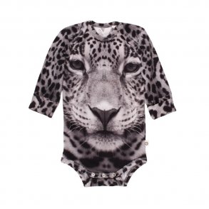 Msli Body, Leopard