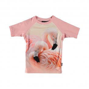 Molo Neptune Bade T-Shirt med Flamingo