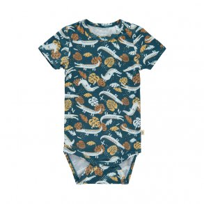 Minymo Body SS, Stargazer