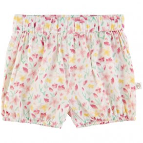 Minymo Shorts, Multi