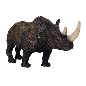 Mojo Woolly Rhino