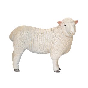 Mojo Romney Sheep Ewe