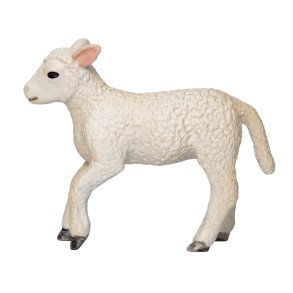Mojo Romney Sheep lamb, running