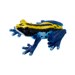 Mojo Giftig Dart Groda, Bl