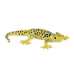 Mojo Leopardgecko