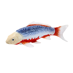 Mojo Koi karp, Bl-rd
