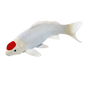 Mojo Koi karp, Rd flck