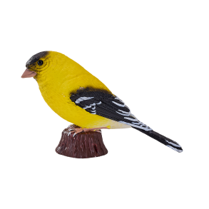 Mojo amerikanska stillits