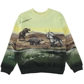 Molo Sweatshirt, Miksi/Dino earth