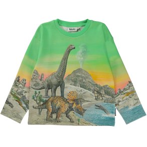 Molo Sweatshirt, Mountoo/Colourful dinos