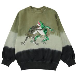 Molo Sweatshirt, Monti/Wrestling frogs dye