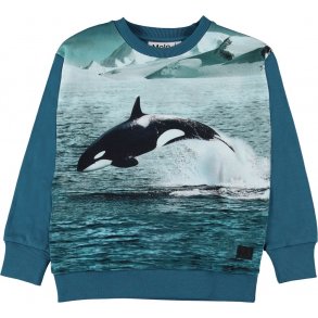 Molo Trje, Jumping Orca