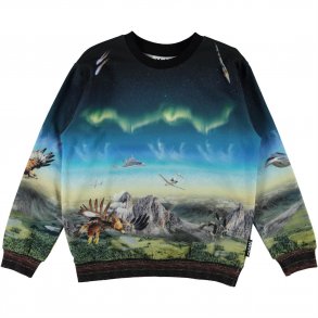 Molo Sweatshirt, Miksi/Entirety High