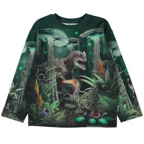 Molo Sweatshirt, Mountoo/Night Forest