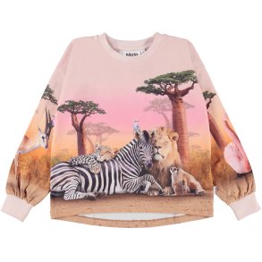 Molo T-shirt LS, Reniza/Wild wonderful