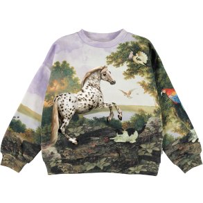 Molo Sweatshirt, Mika/Poetic landscape