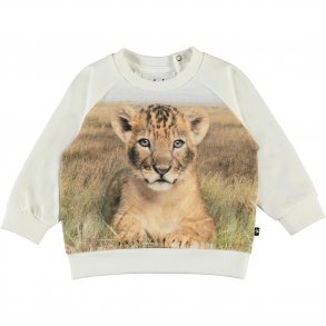 Molo Sweatshirt LS, Esco/Young Lion