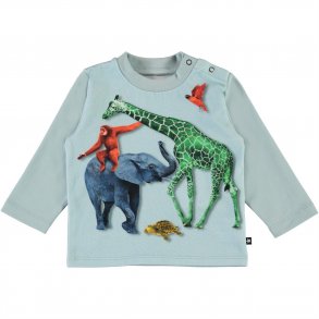 Molo T-shirts LS, Enovan/Colour Friends