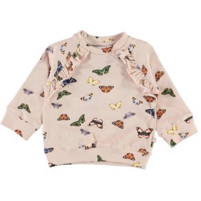 Molo sweatshirt, Dima/I See You mini