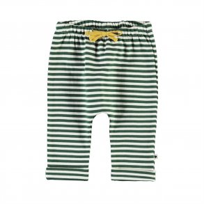 Molo Bukser, Sigurd/Green Stripe
