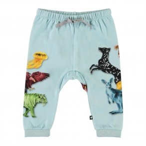 Molo Bukser, Sabbe/Colour friends