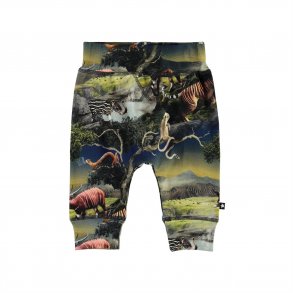 Molo Bukser, Sammy/Future Animals