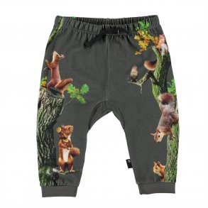 Molo Bukser, Sabbe/Beluga