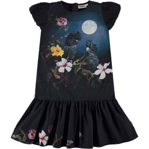 Molo Kjole, Cerys/Moonlight birds