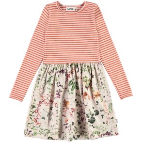 Molo Kjole, Credence/Herbarium