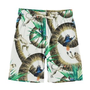 Molo Shorts, Alim/Monkey business