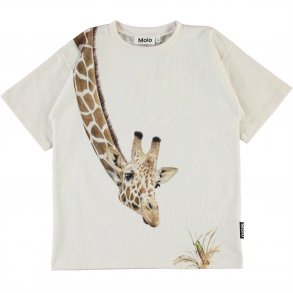 Molo T-shirt SS, Rillo/white Star