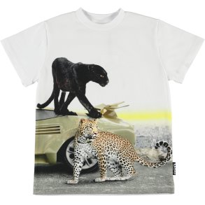 Molo T-shirt, Road/Wild City