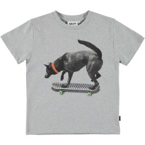 Molo T-shirt, Rame/Black dog skate