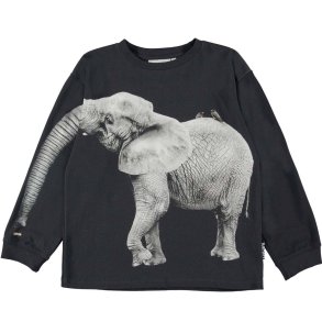 Molo T-shirt, Rube/Elephant