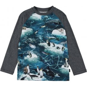 Molo Bluse, Antarctica