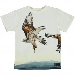 Molo T-Shirt SS, Raveno/Bird Lift Off