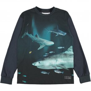 Molo T-Skjorte LS, Rexton/Dark Sharks