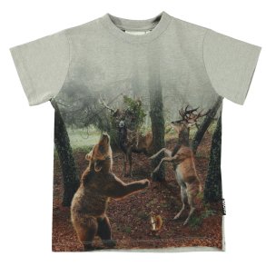 Molo T-shirt SS, Road/Forest dance