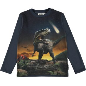 Molo T-shirt LS, Reif/Dino roar