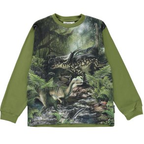 Molo T-shirt LS, Rube/Green dinos