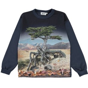 Molo T-shirt LS, Rin/Blending in