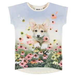 Molo T-shirt SS, Ragnhilde/Flower for you